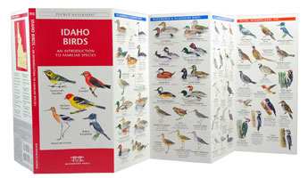 Birds Of Idaho