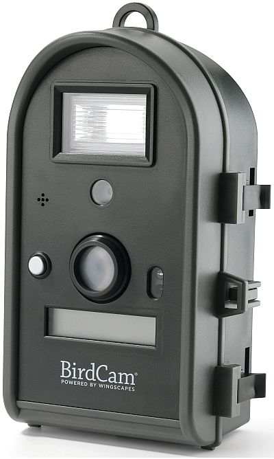 BirdCam 2.0 Motion-Activated Digital Camera