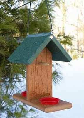 Going Green Recycled Oriole-Bluebird Feeder