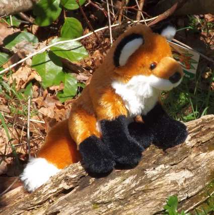 cuddlekins fox