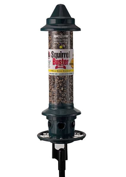 Squirrel Buster Plus with Pole Adapter Kit