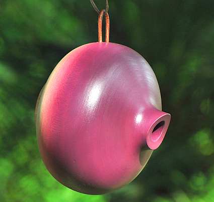 Mango Tree Collection Ellipse Bird Home Plum