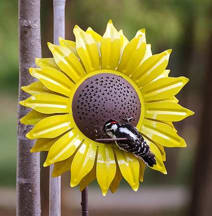 Desert Steel Sunflower Bird Feeder Stake