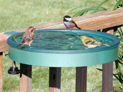 Erva 14" Clamp-On Bird Bath