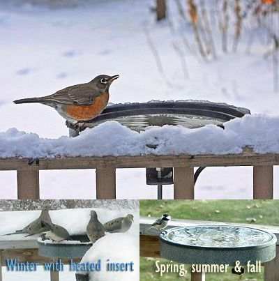 14" Deck Mount Bird Bath Heated in Winter, Non-Heated in Spring, Summer and Fall!