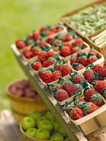 "Farm Fresh" Birdseed Strawberries For Feeding Backyard Birds!
