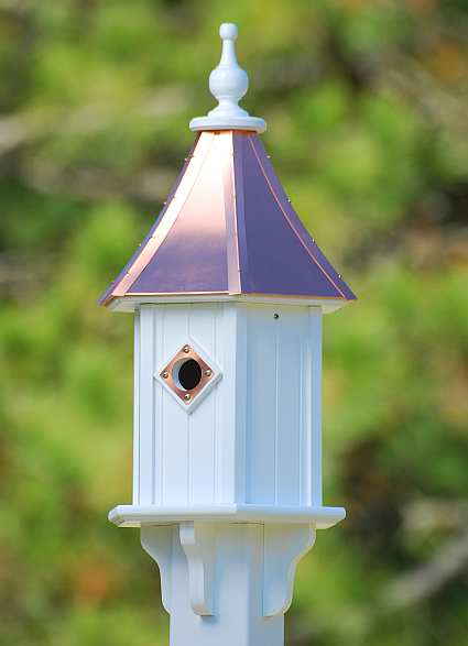 10" Bluebird Birdhouse Bright Copper with Copper Portals