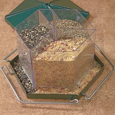 Triple Bin Party Feeder Holds 3 Types of Seed at Once!