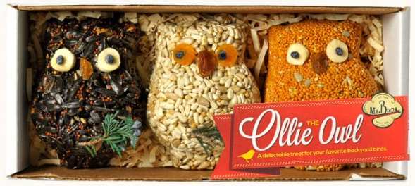Ollie the Owl Bird Seed Ornament Set of 3