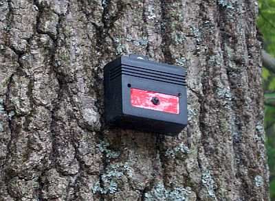 Mount Nite Guard Solar to a tree, post or wall