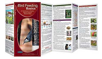 Bird Feeding Basics - An Introduction to Feeders, Feeds & Backyard Birds