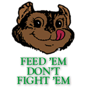Squirrel Feeding - Feed em' Don't Fight em'