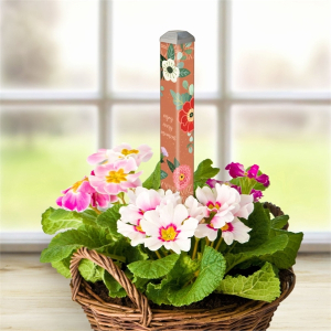 10 Inch Mini Art Poles