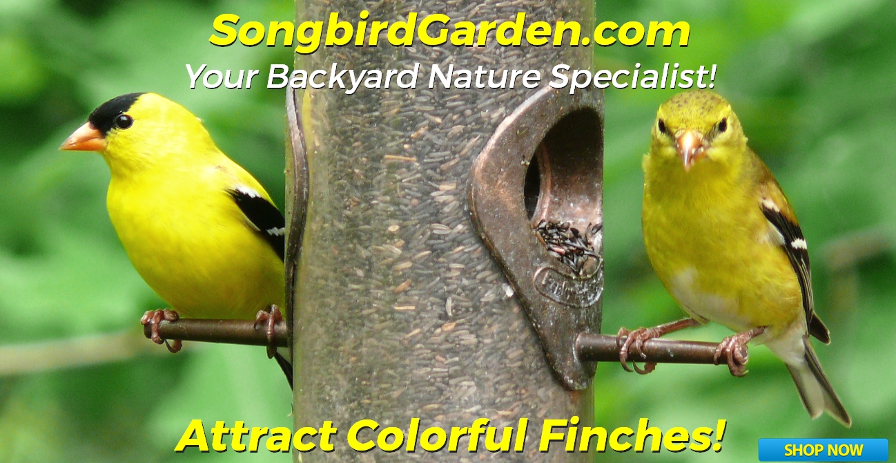 Attract Goldfinches-Thistle/Nyjer Tubular Bird Feeders