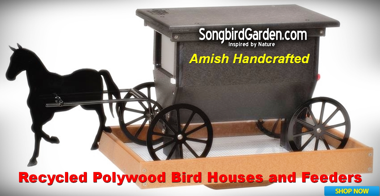 Amish Handcrafted Recycled Poly Bird Houses and Bird Feeders