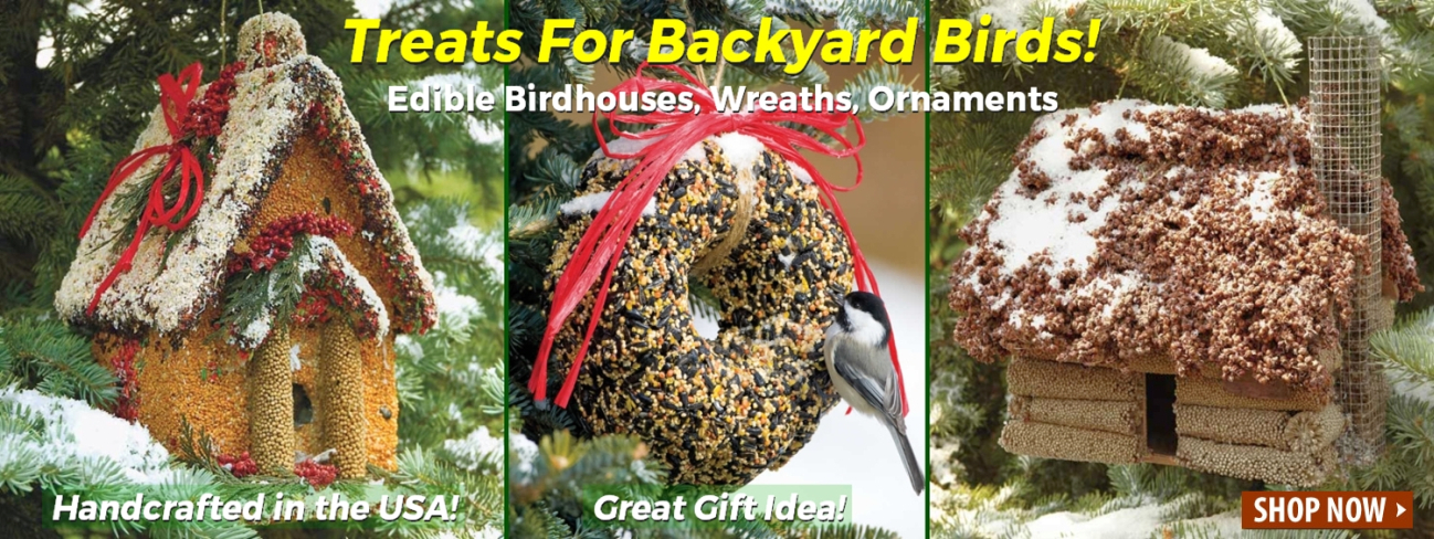Edible Bird Feeders, Bird Seed Houses, Wreaths, Bird Seed Ornaments