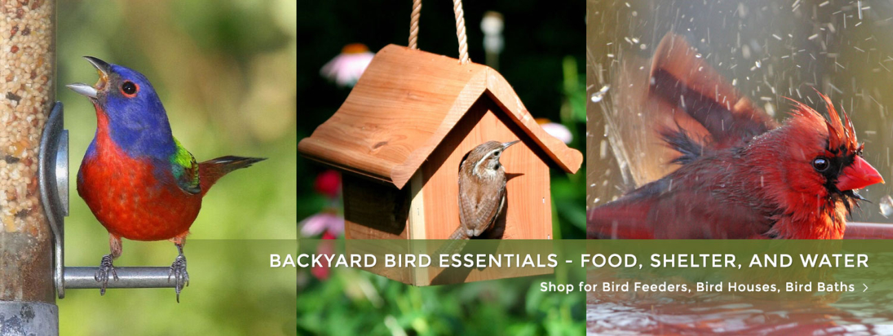 Wild Bird Care - Bird Feeders, Bird Houses, Bird Baths