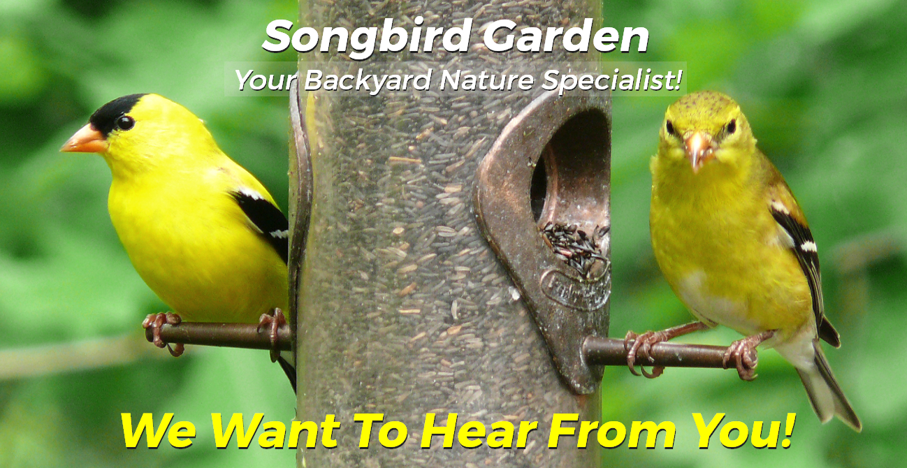 Songbird Garden - Contact Us