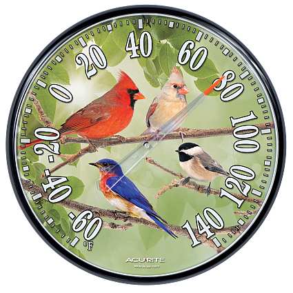 Audubon Singing Bird Wall Clock Green, Audubon Singing Bird Wall Clock ...