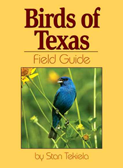 Bird Books & Field Guides, Bird Identification Guides For North America ...