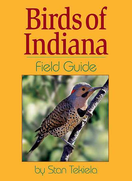 bird books field guides bird identification guides for bird books field guides bird identification guides for