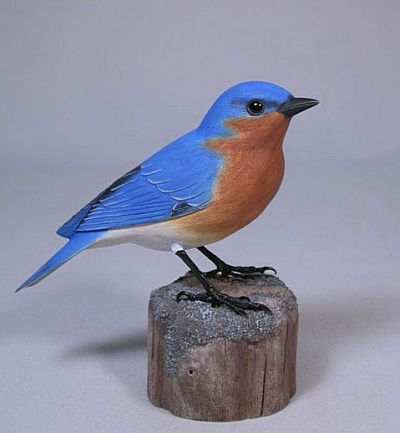 Conservation Sparrow Resistant Bluebird House, Bluebird Nesting Box ...