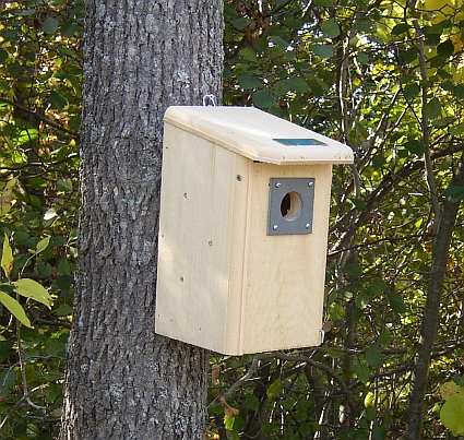 Finch Houses, Barn Swallow Houses, Quality Crafted Bird Houses For ...