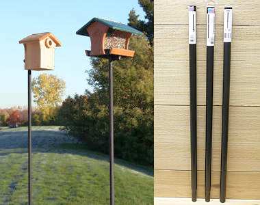 large bird feeder pole