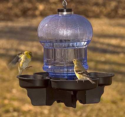 Bird Waterers For Providing Drinking Water To Backyard Birds, Bird ...