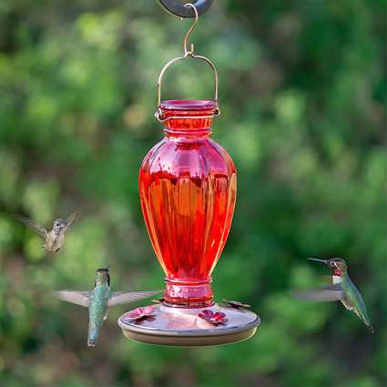 Blown Glass Hummingbird Feeders - Quality Blown Glass Hummingbird ...