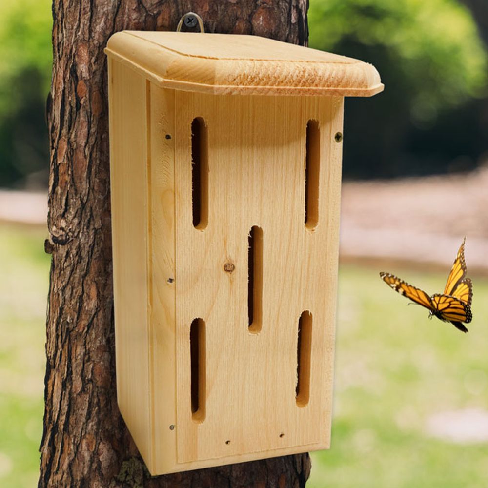 Conservation Small Butterfly House