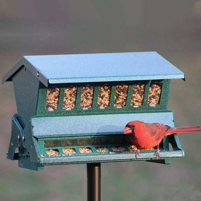 Heritage Farms Original Absolute Ii Squirrel Proof Bird Feeder