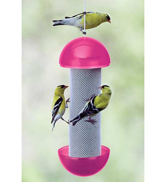 Have-A-Ball Finch Feeder Assorted Set of 3