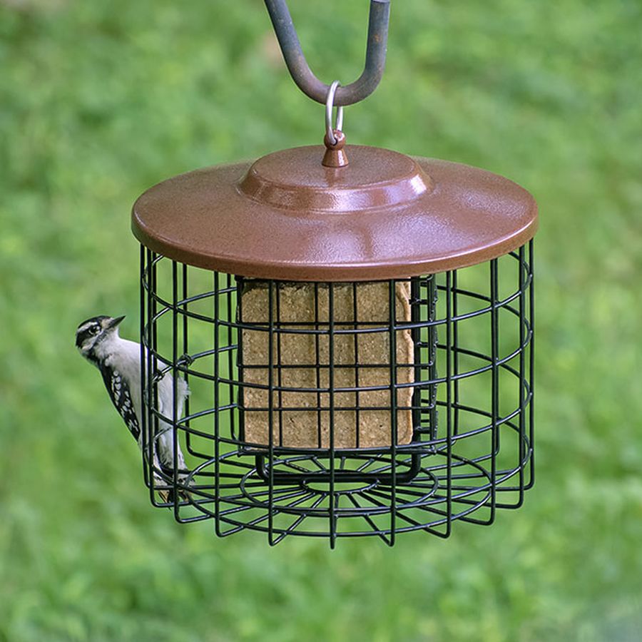 Squirrel Proof Caged Double Suet Feeder