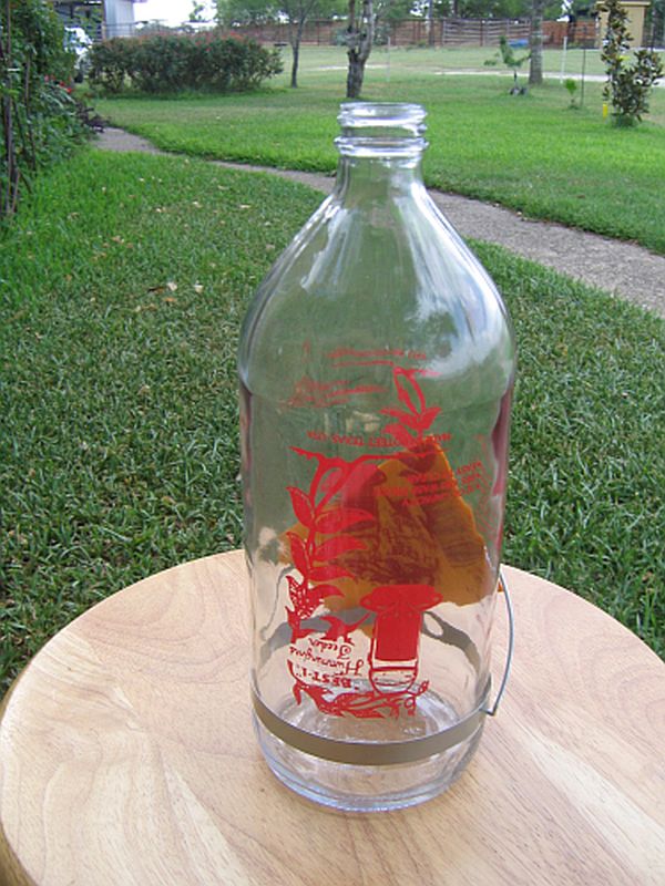 Best-1 Hummingbird Feeder Replacement Bottle 32oz