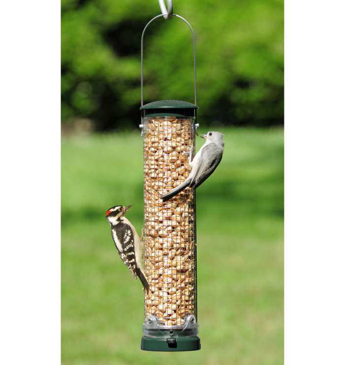 woodpecker peanut feeder