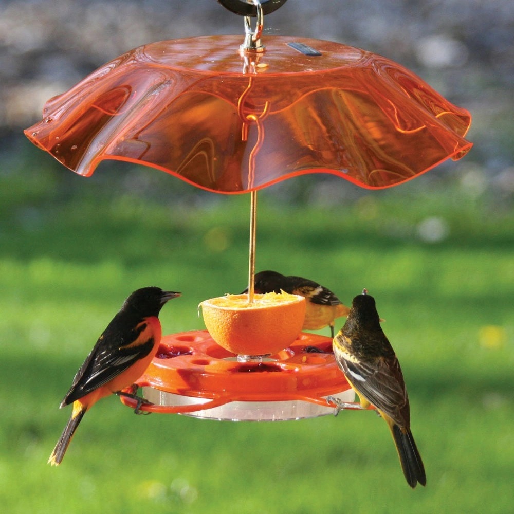 Translucent 12oz Oriolefest Feeder & Weatherguard