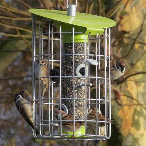 roundhaus bird feeder