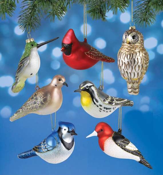 Cobane Studios Blown Glass Bird Ornament Collection Set of 8, Handcrafted Glass  Bird Ornaments at Songbird Garden