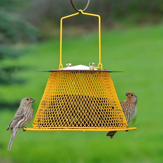 sunflower basket bird feeder