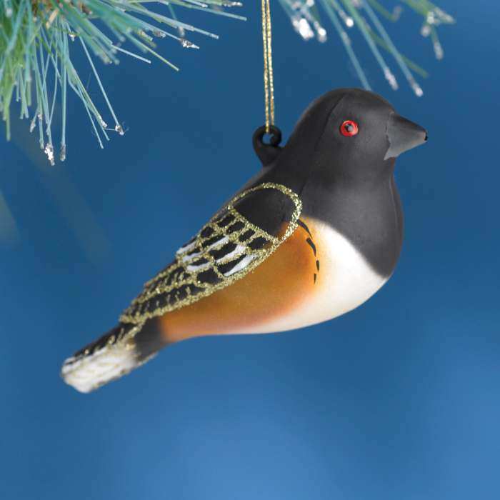 Cobane Studios Rufous Sided Towhee Blown Glass Ornament, Handcrafted Glass  Tree Ornaments at Songbird Garden