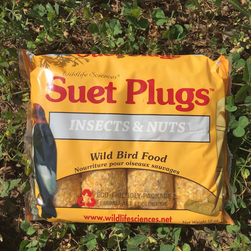 Insects and Nuts Suet Plugs 24/Pack