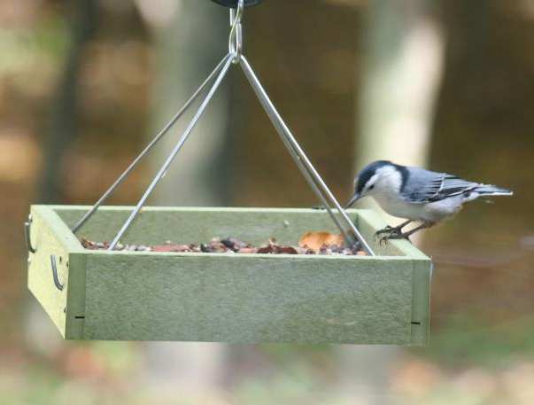 Green Solutions Large Hanging Tray Feeder