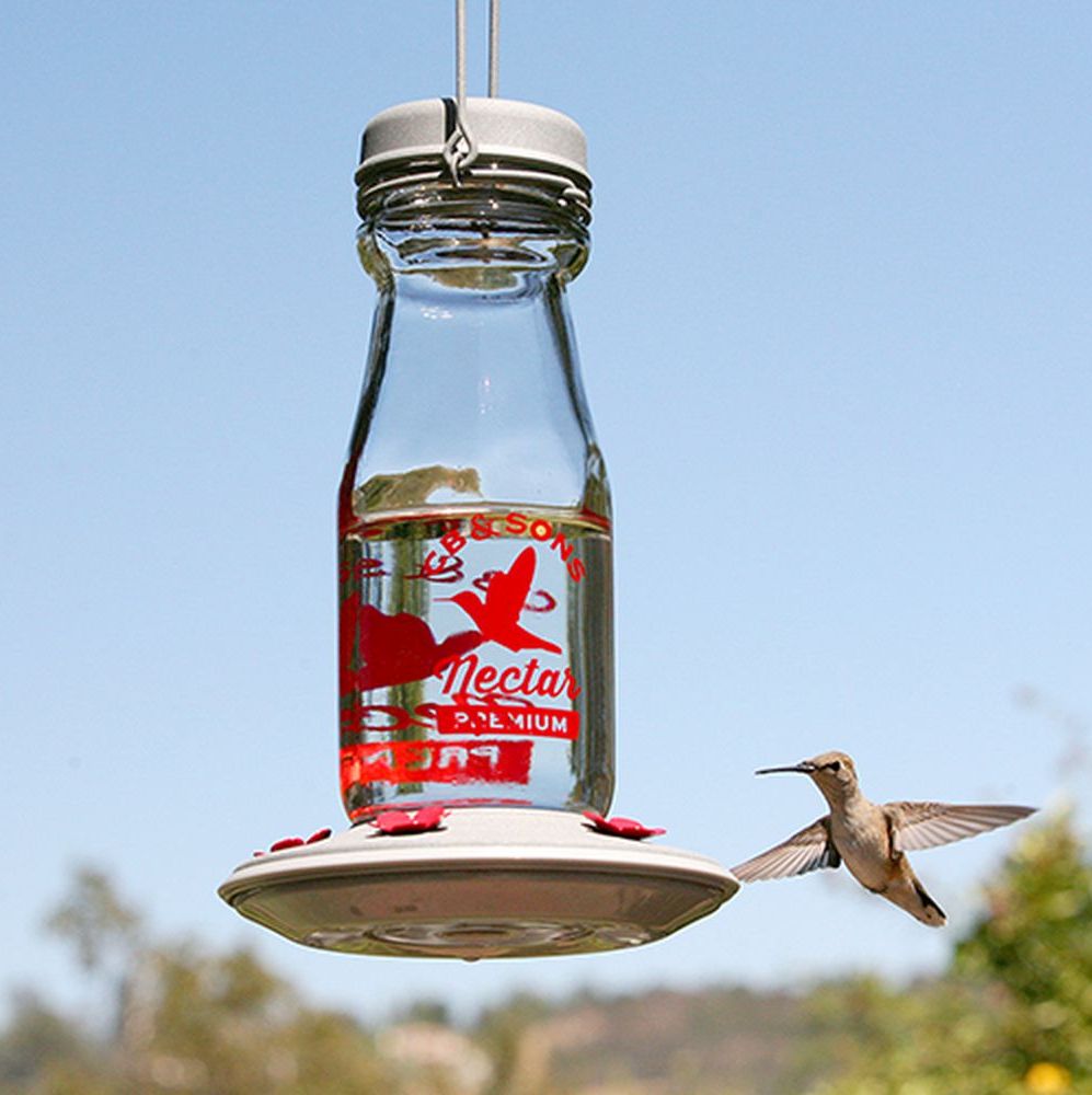 Jersey Hummingbird Feeder 18 oz.