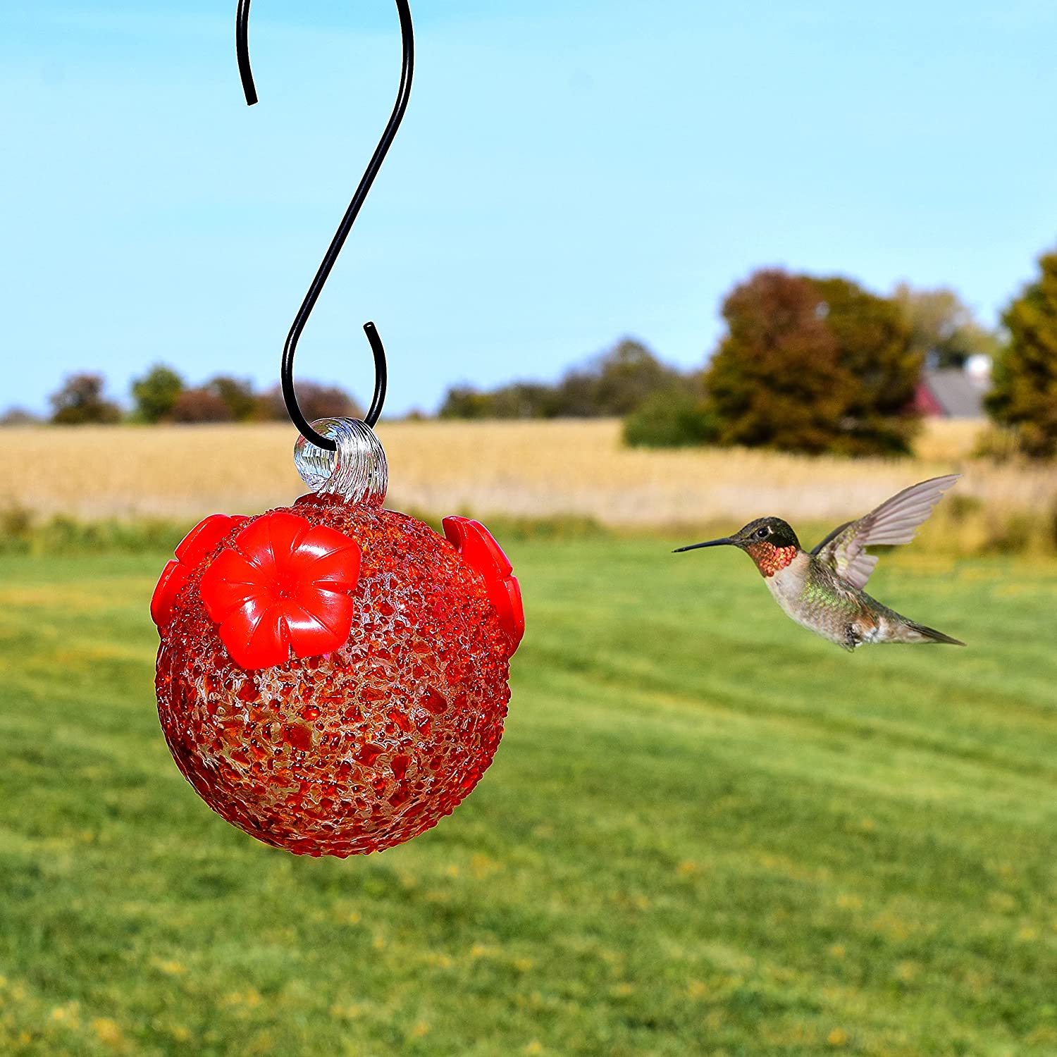 Blown Glass Hummingbird Feeder Red Textured