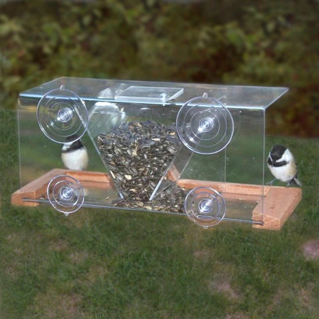 Clear View Bird Feeder 