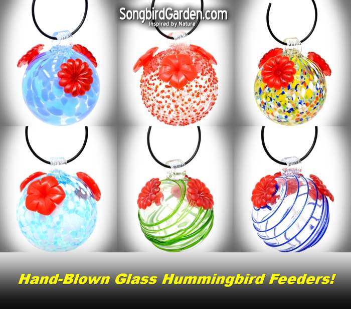 Blown Glass Hummingbird Feeder Assortment Set of 6
