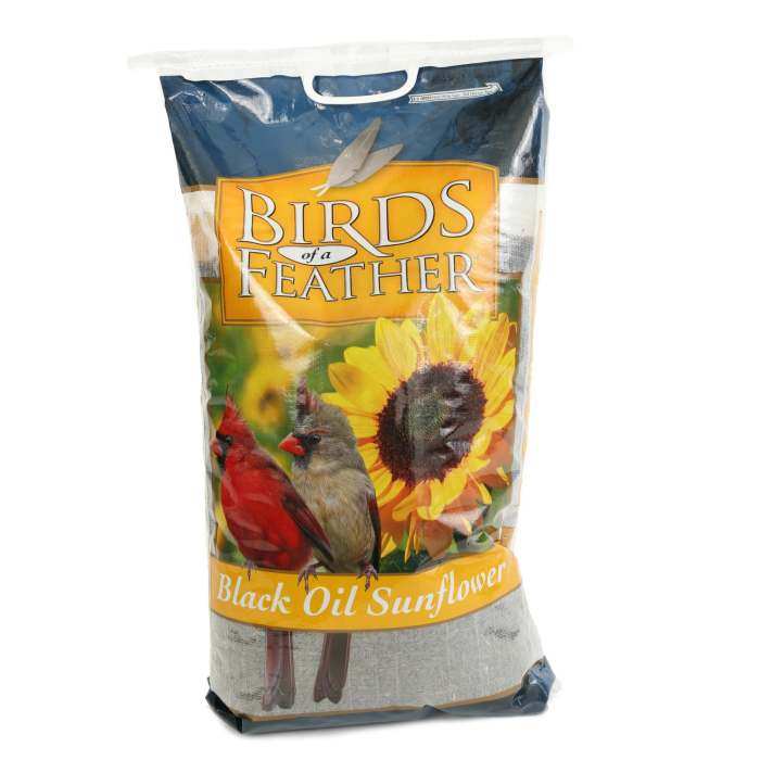 Birds of a Feather Black Oil Sunflower Seed 40#
