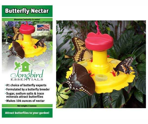 Songbird Butterfly Feeder and 5 oz. Nectar Combo