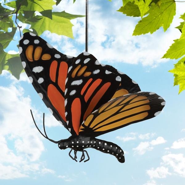 Butterfly Bouncie Monarch